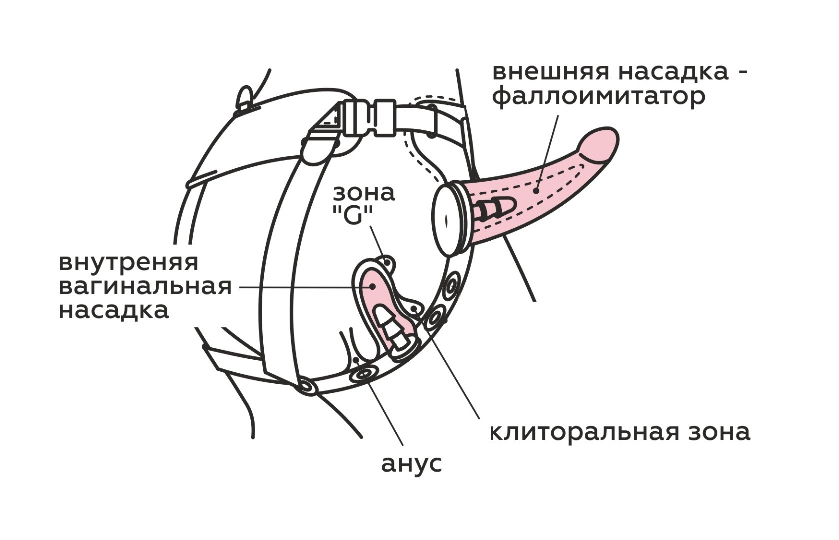 Пояс премиум класс (S) WOMAN LONG с 3-мя насадками D 43 мм, L 160 мм и  D 26 мм, L 135 мм, арт. 303903