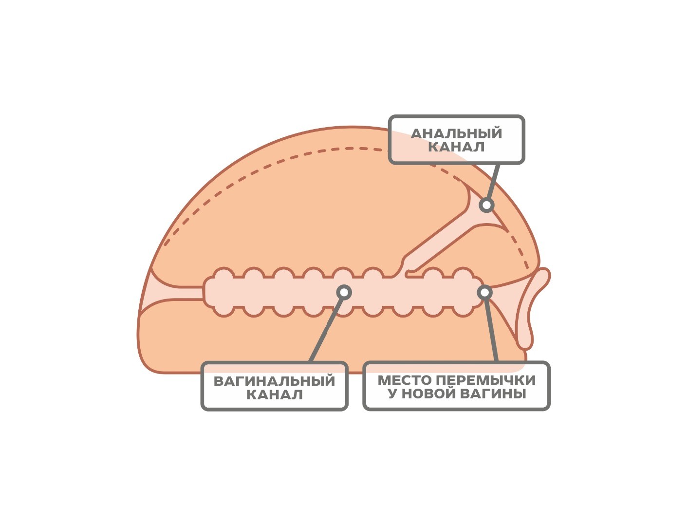 ВАГИНА РЕАЛИСТИК 300х200х80 мм артикул 650001