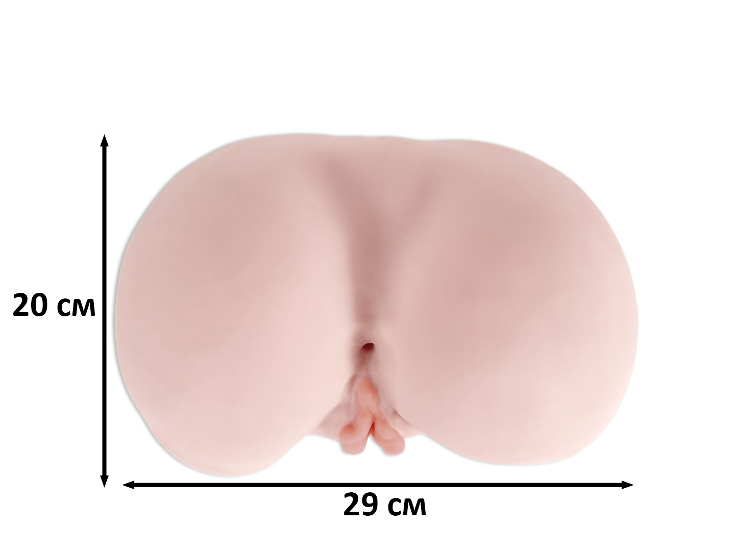 ������ � ��������� 290x190x80 �� ���.660021