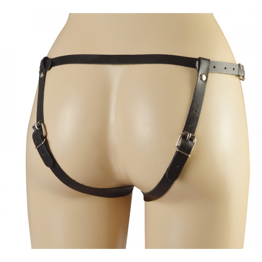 ������� ���� ������, ������� 3151-1