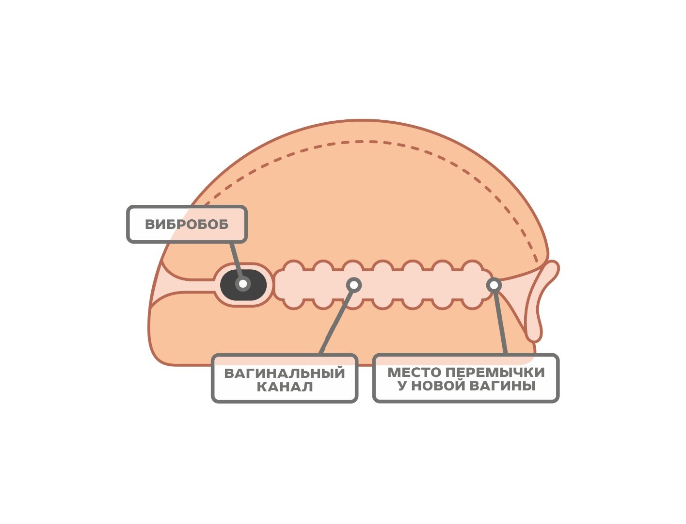 ВАГИНА С ВИБРАЦИЕЙ 250x160x70 мм арт.667521