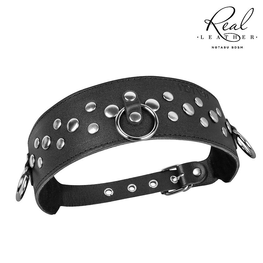 ������� ����, ���� ������ ���. NTB-80359