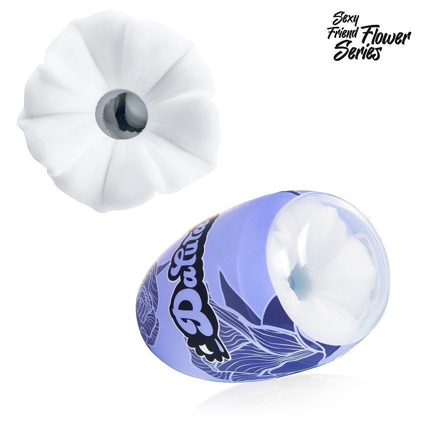 ����������� ��� 137 � ���. SF-70281